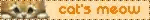orange 36