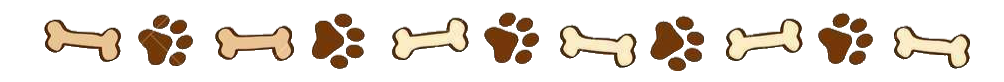 81