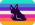 Seaslug Gender