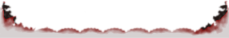 bottom divider