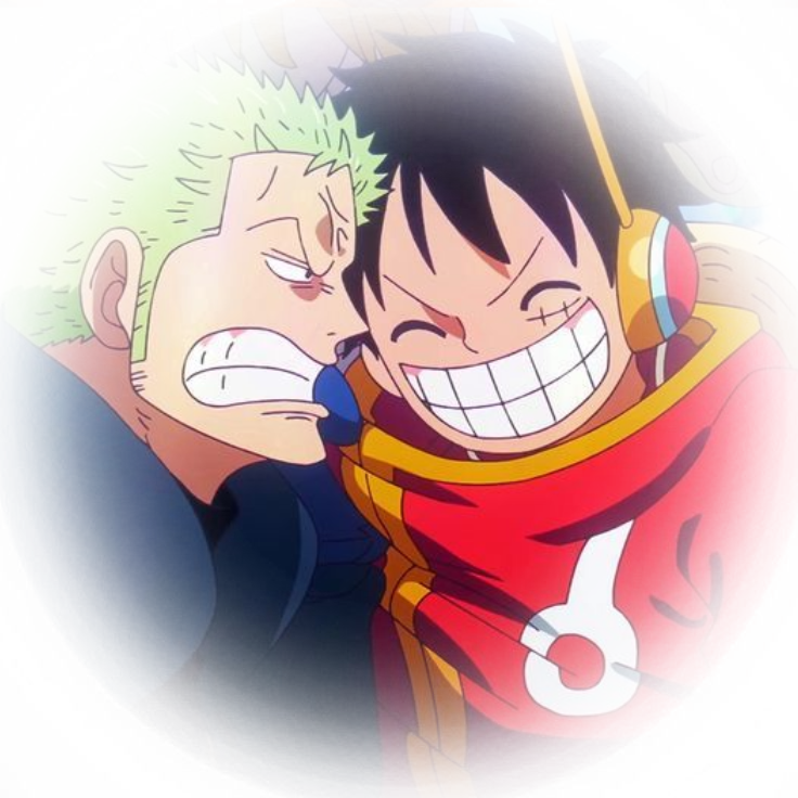 Zoro and Luffy