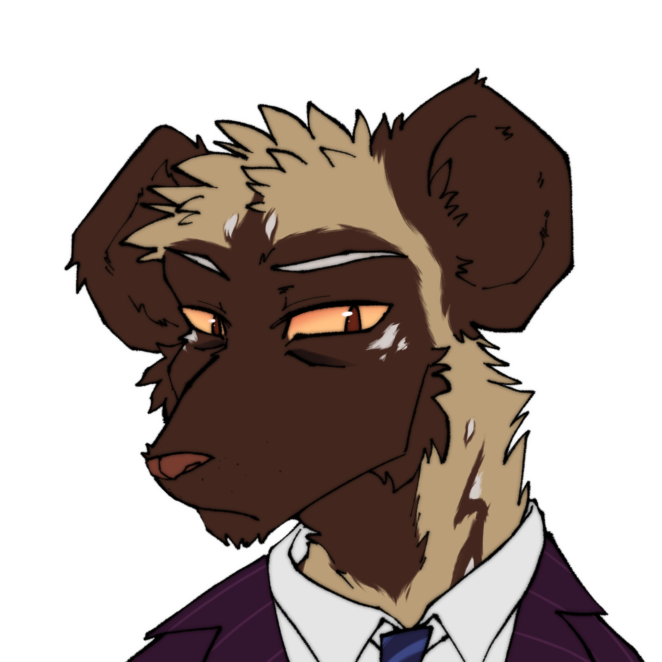 Marshall_redesign.png