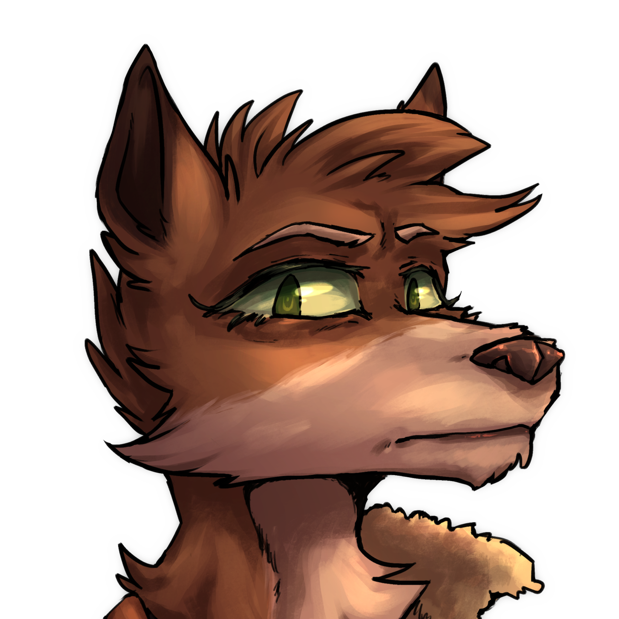 darcus%20headshot%20crop.png