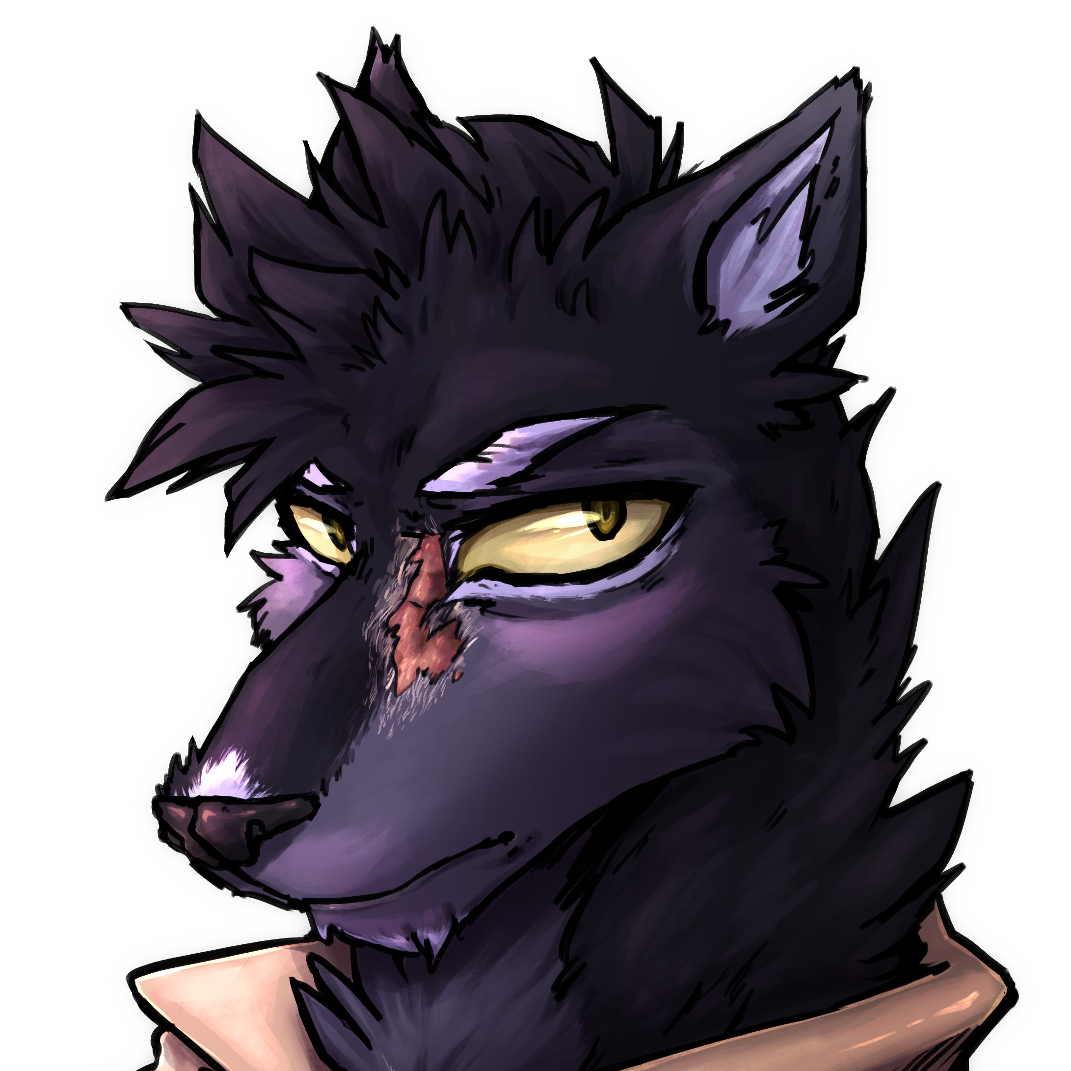 lupo%20headshot.png