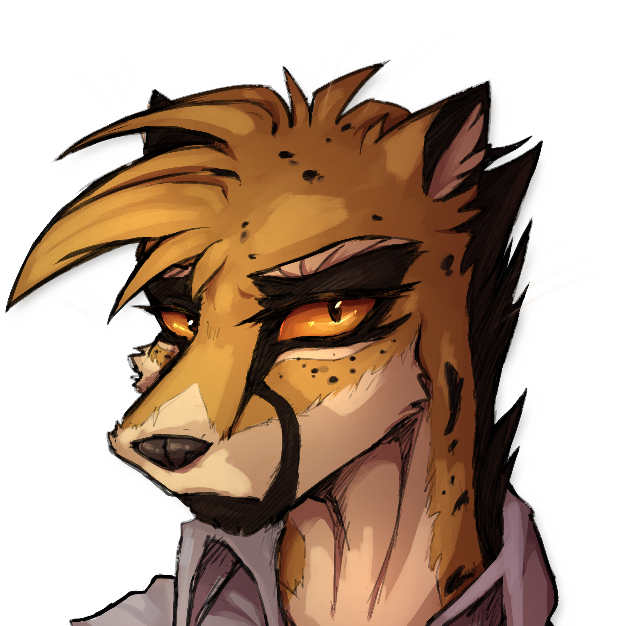pluro%20headshot.png