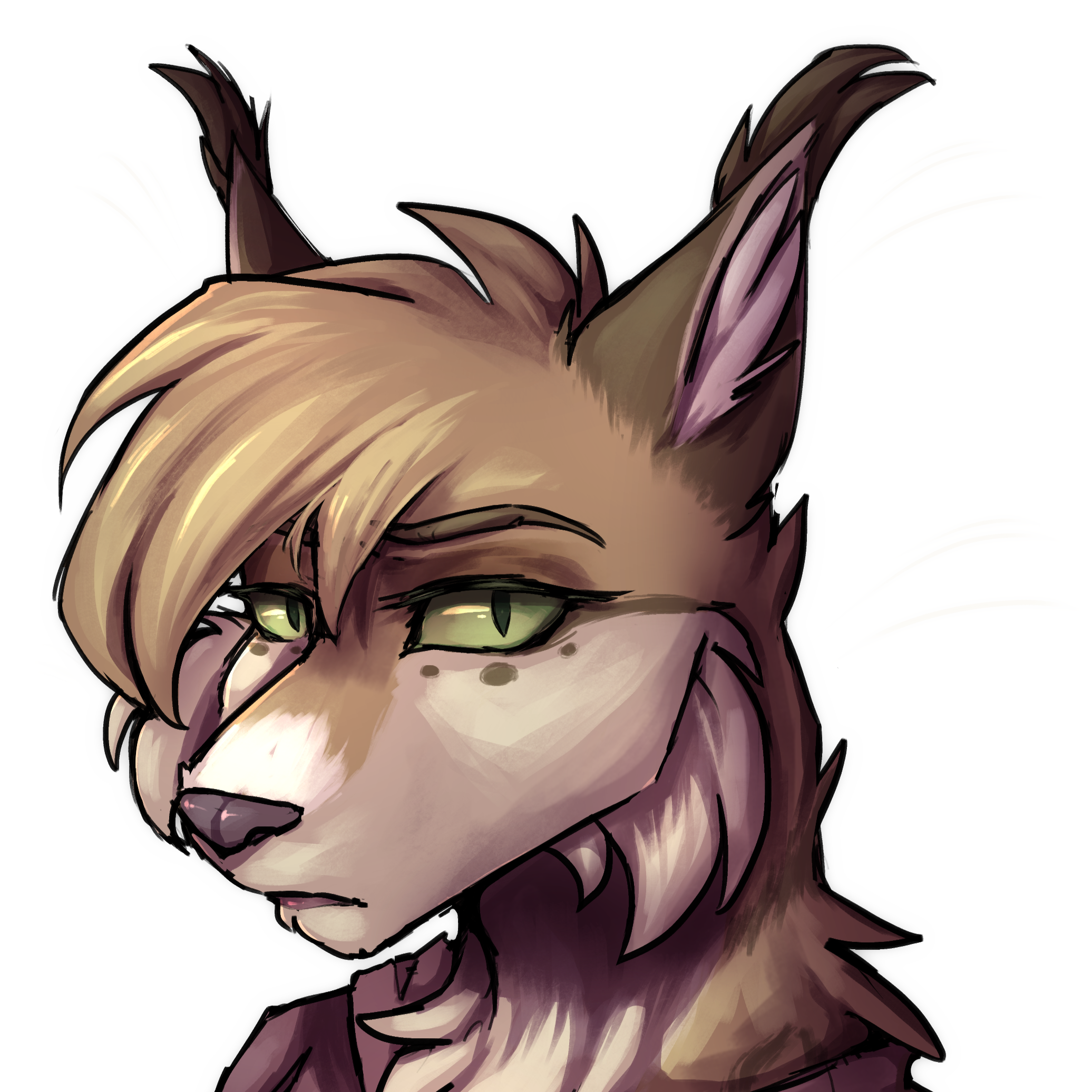 tara%20headshot.png