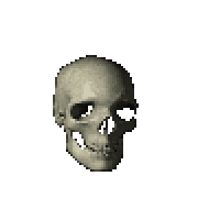 spinning-skull.gif