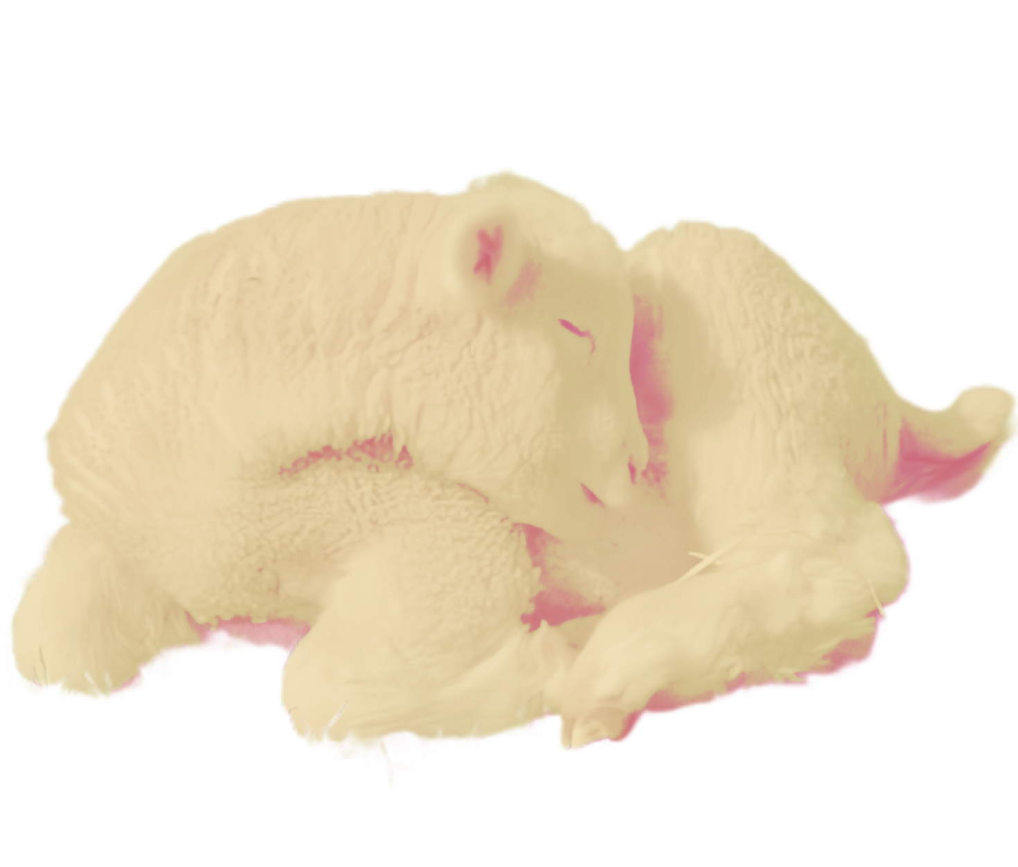 lamb