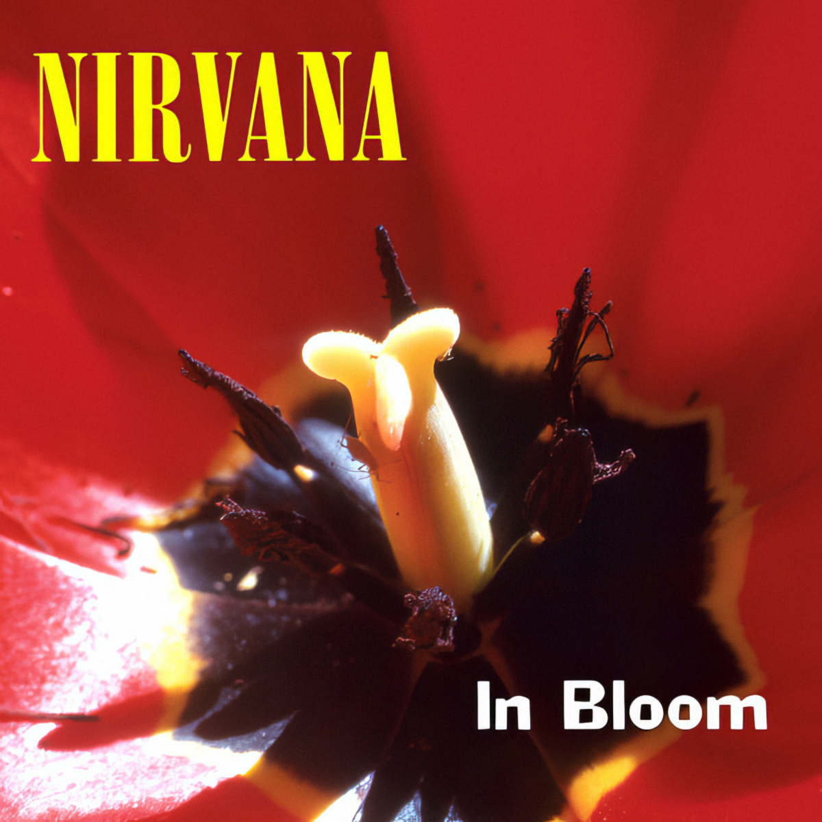 In Bloom
