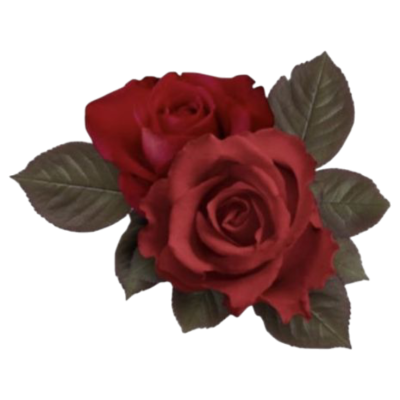 rose1