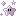 purp14