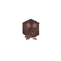ratspin.gif