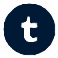 tumblr-logo-icon-16095.png