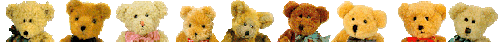 bears_divider
