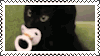 binkiekitty_stamp.webp
