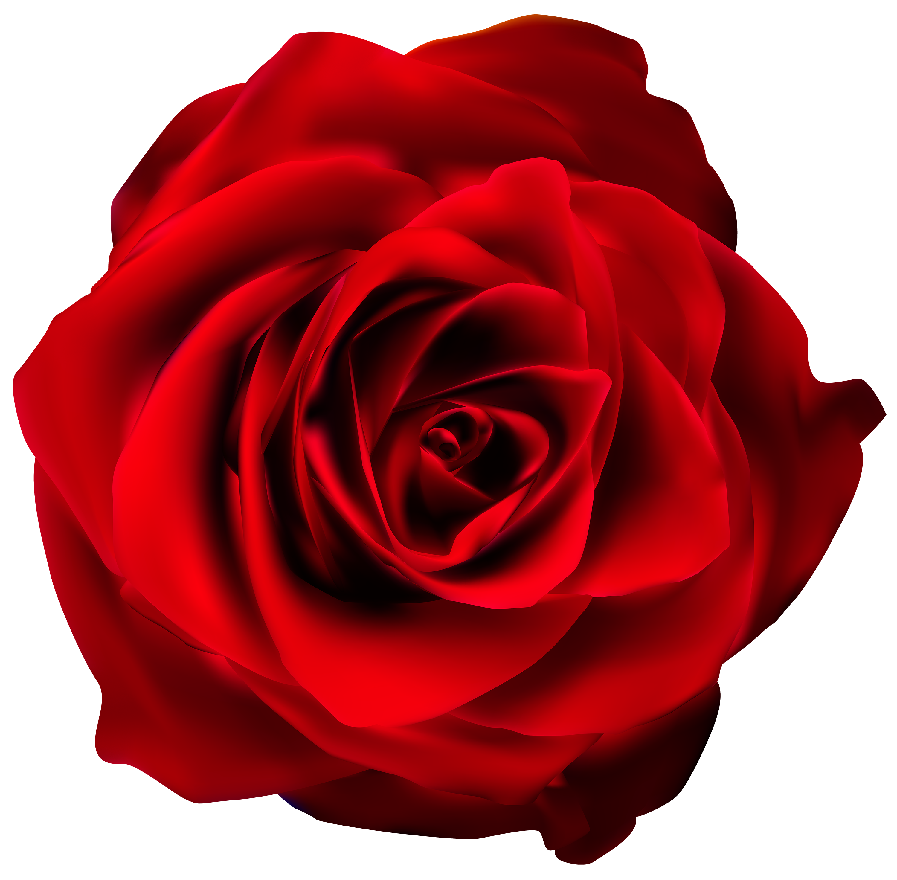 Red_Rose_Transparent_PNG_Clip_Art_Image.