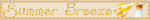 95772e57.gif