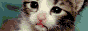 pet%20sites.gif