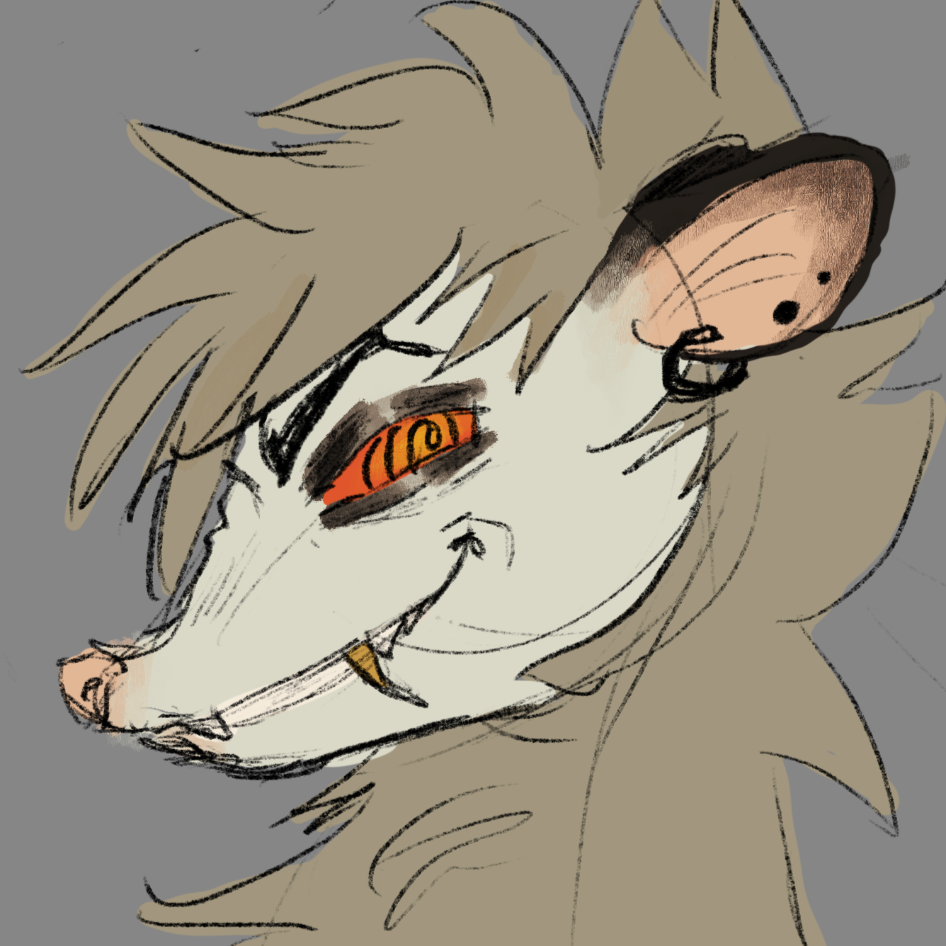 Levi's sona, Carmen