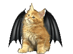a gif of a fluffy orange kitten looking around with 3D modeled demon wings behind it