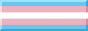 a 88x31 button version of the transgender flag