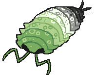 art of an isopod colored black, grey, white, and various shades of green to resemble the aromantic pride flag