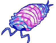 art of an isopod colored various shades of blue, pink, and white to resemble the transgender pride flag