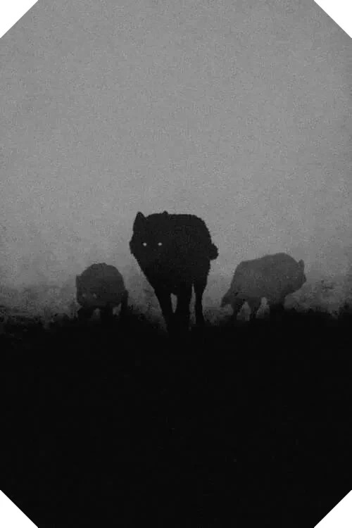 [Image: wolvesinmist.jpg]