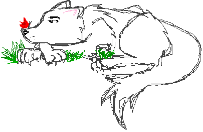WolfyMSPaint