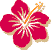 rainbow hibiscus