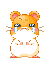 sobhamster