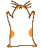 hamsterspin