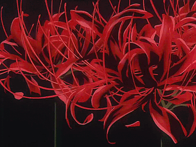 spiderlily