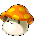 Orangemaplemush