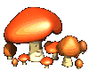 happy mushrooms