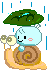 kao-ani snail