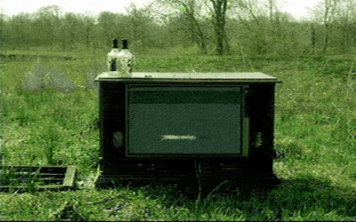 adult swim TV