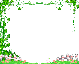 Vineborder