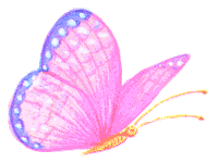 rainbowbutterfly
