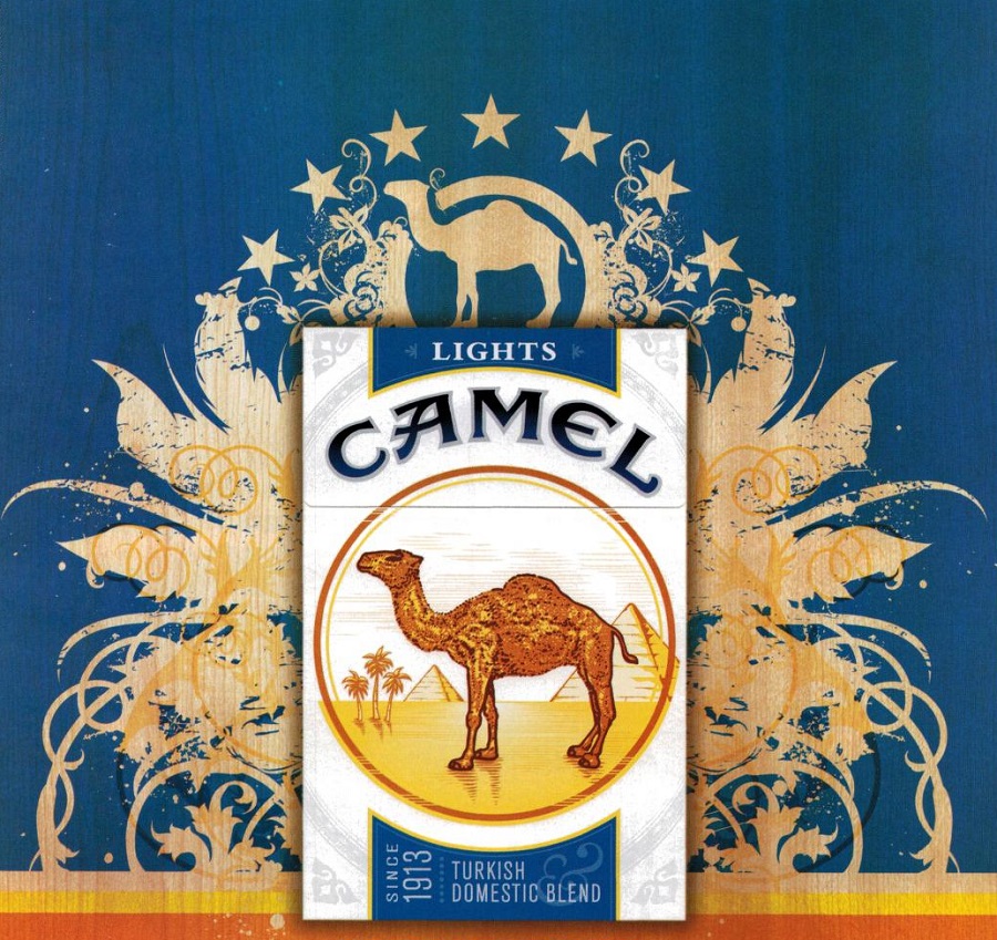 camels