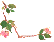birdbranch