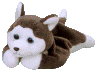nanookthehuskie