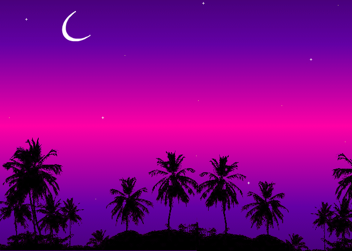 Night Palm Trees