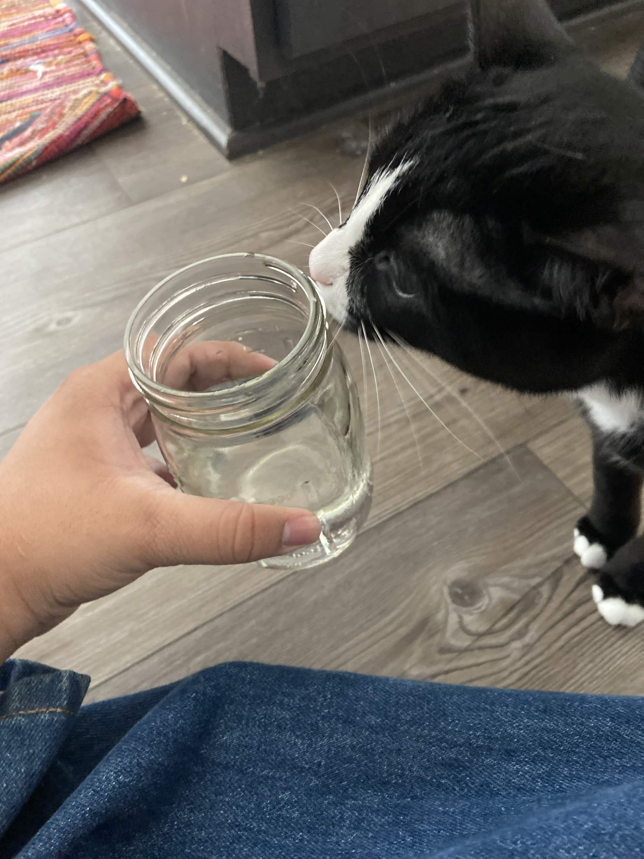 crick steals water