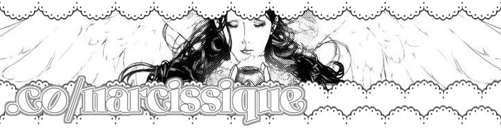 .co/narcissique
