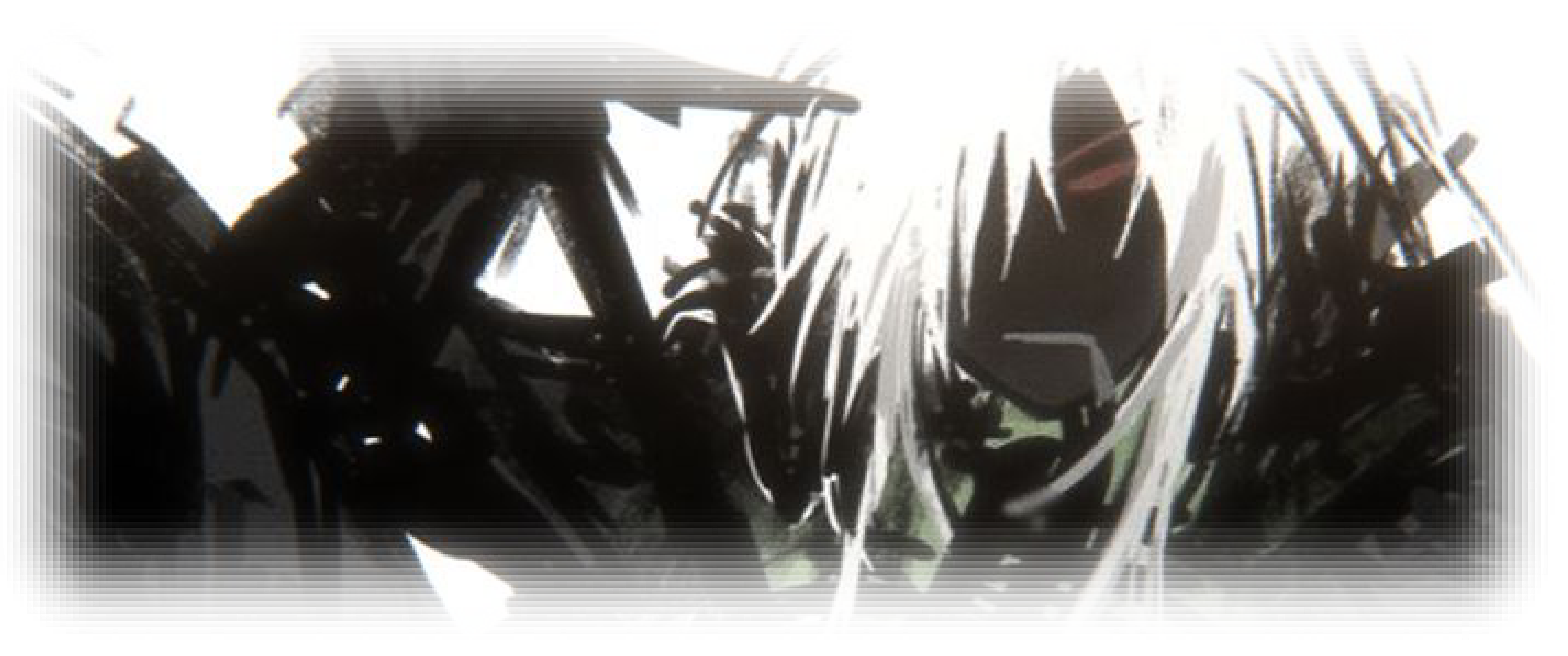 1x1x11x's banner