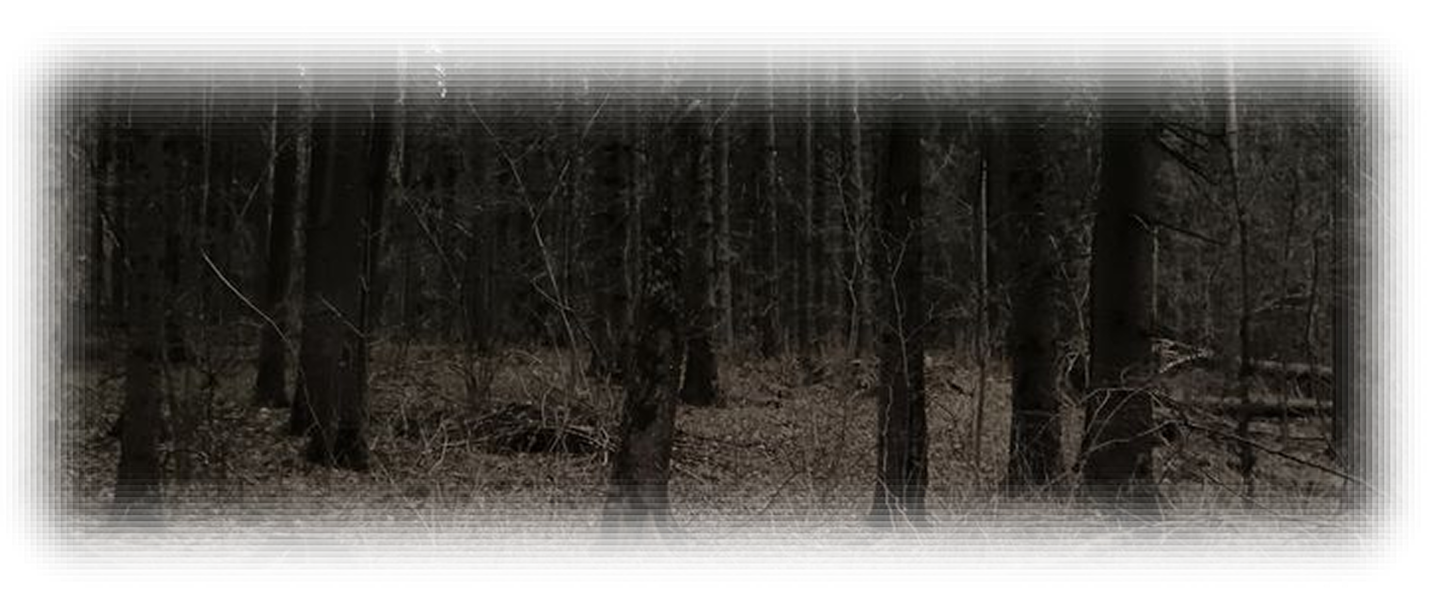 axesexual.'s banner