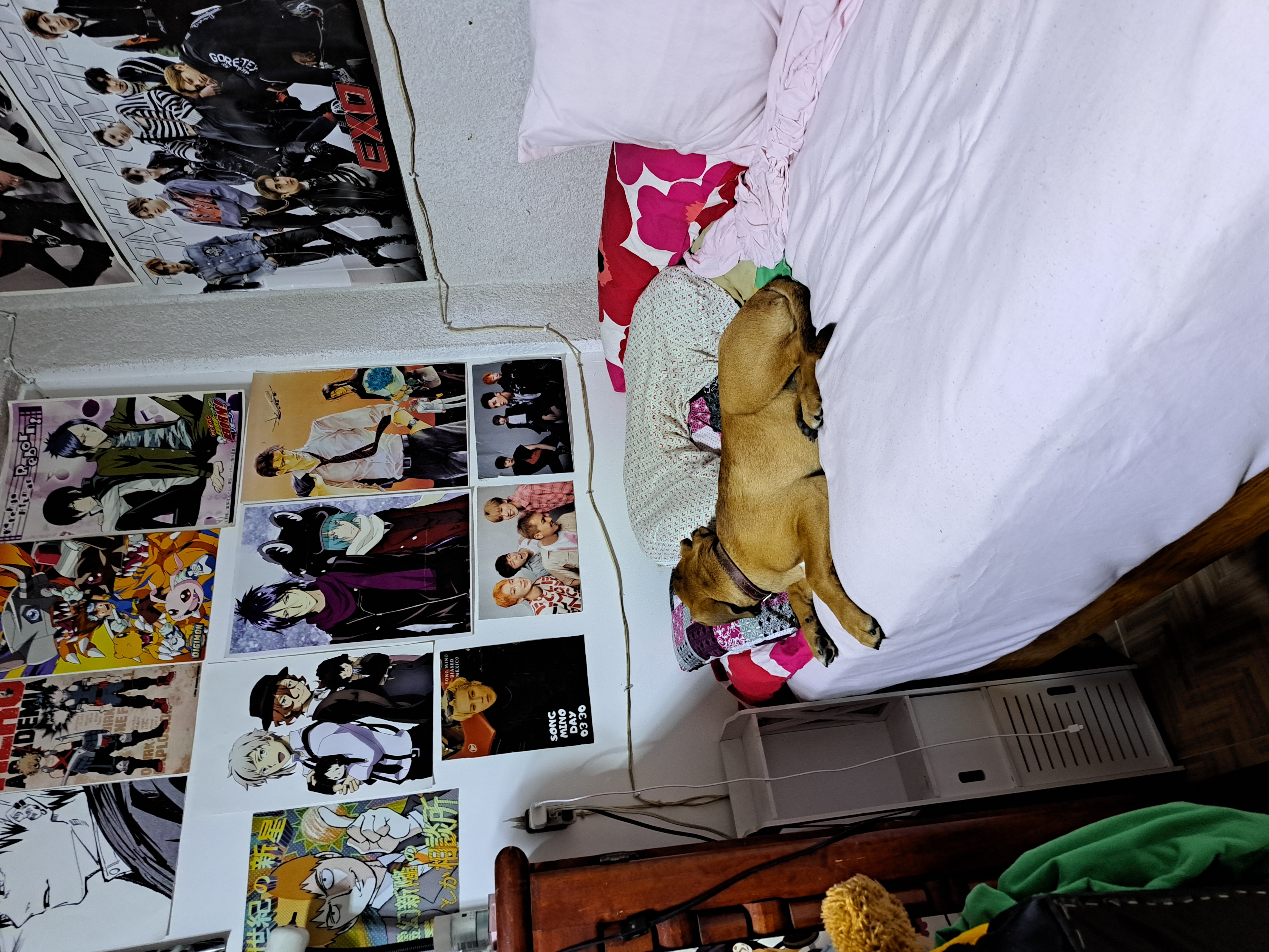 20220620_214102.jpg