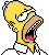 Homer drooling