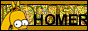 Homer